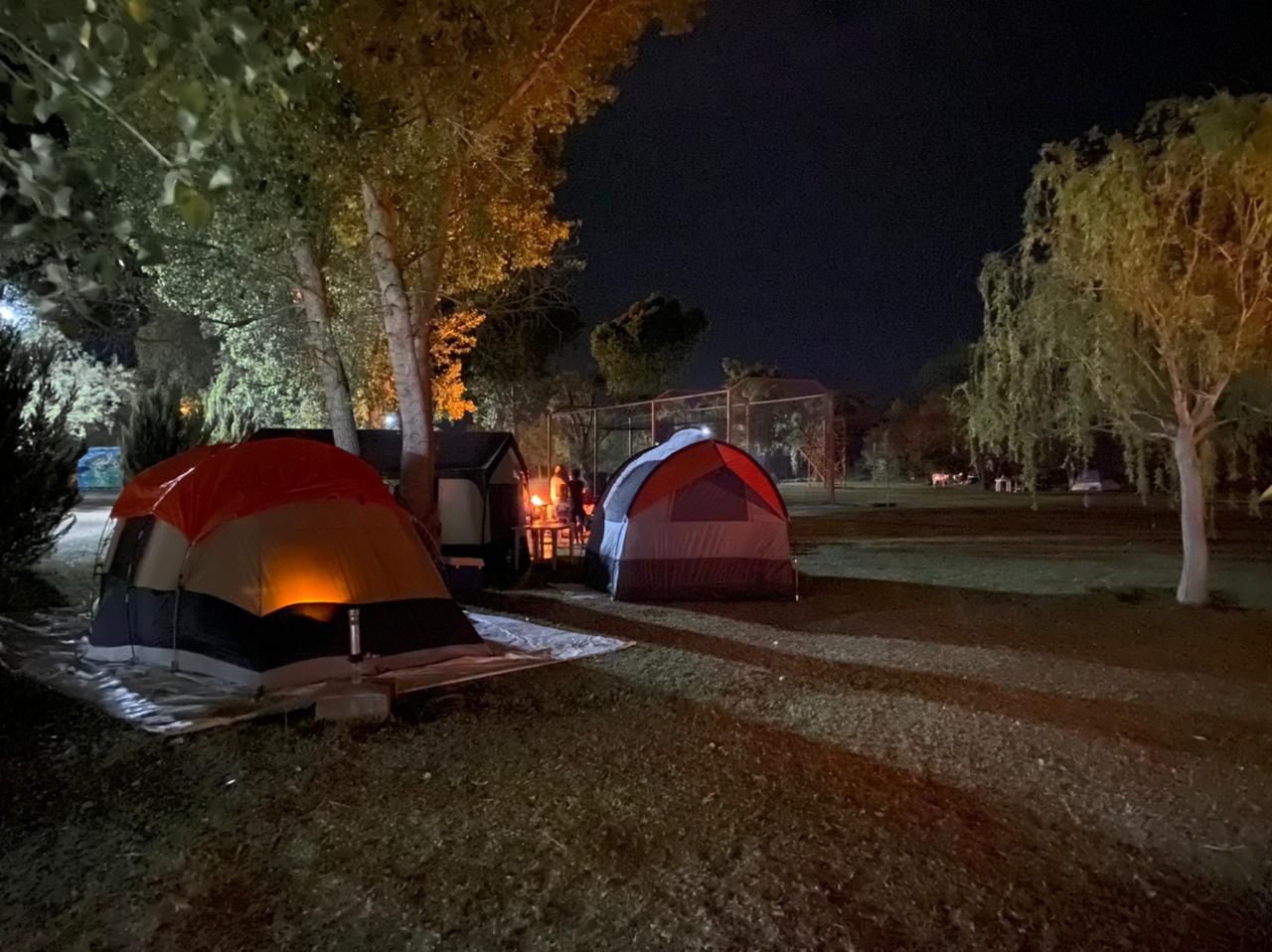 Tiendas de camping iluminadas en la noche