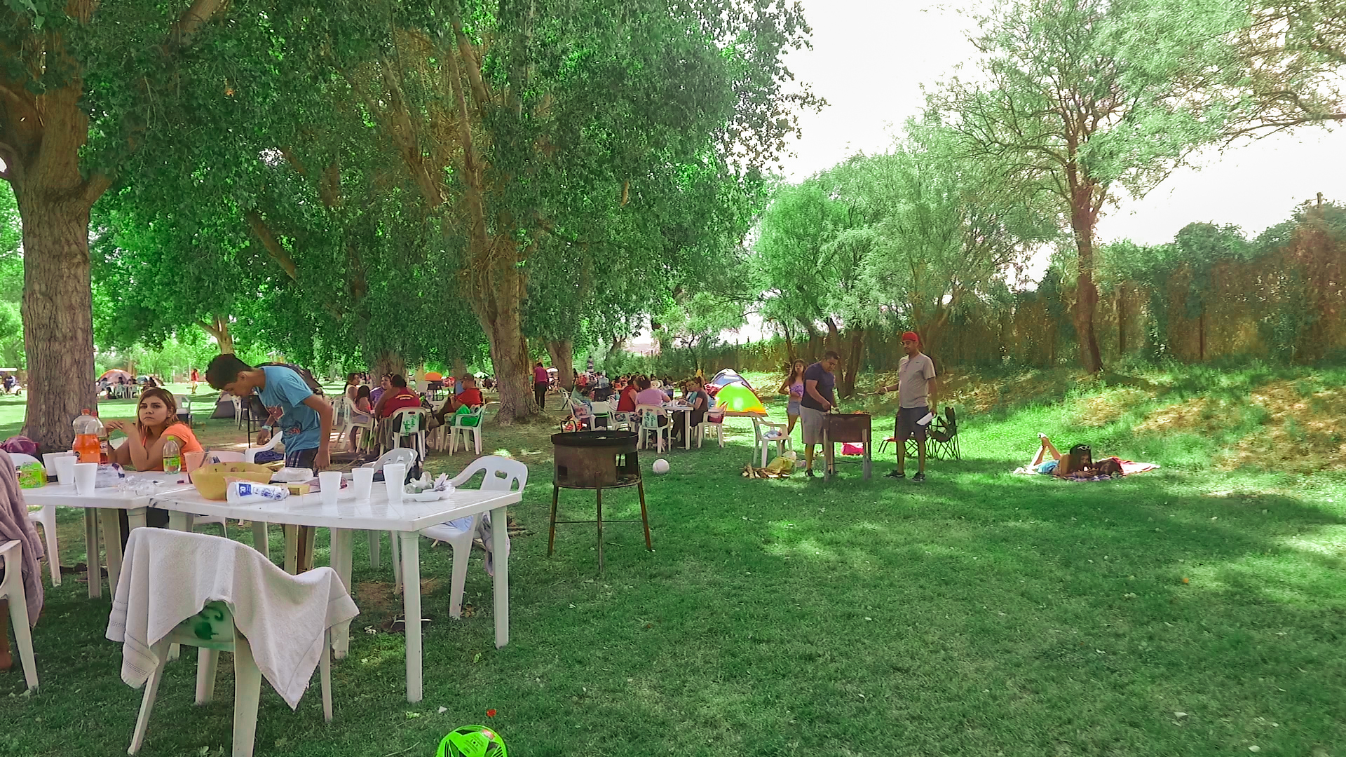 Familias conviviendo en día de campo bajo los árboles