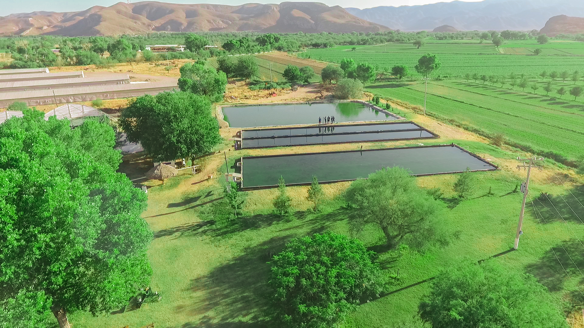 Vista aérea de los estanques de la granja de peces en Parque Santa Julia