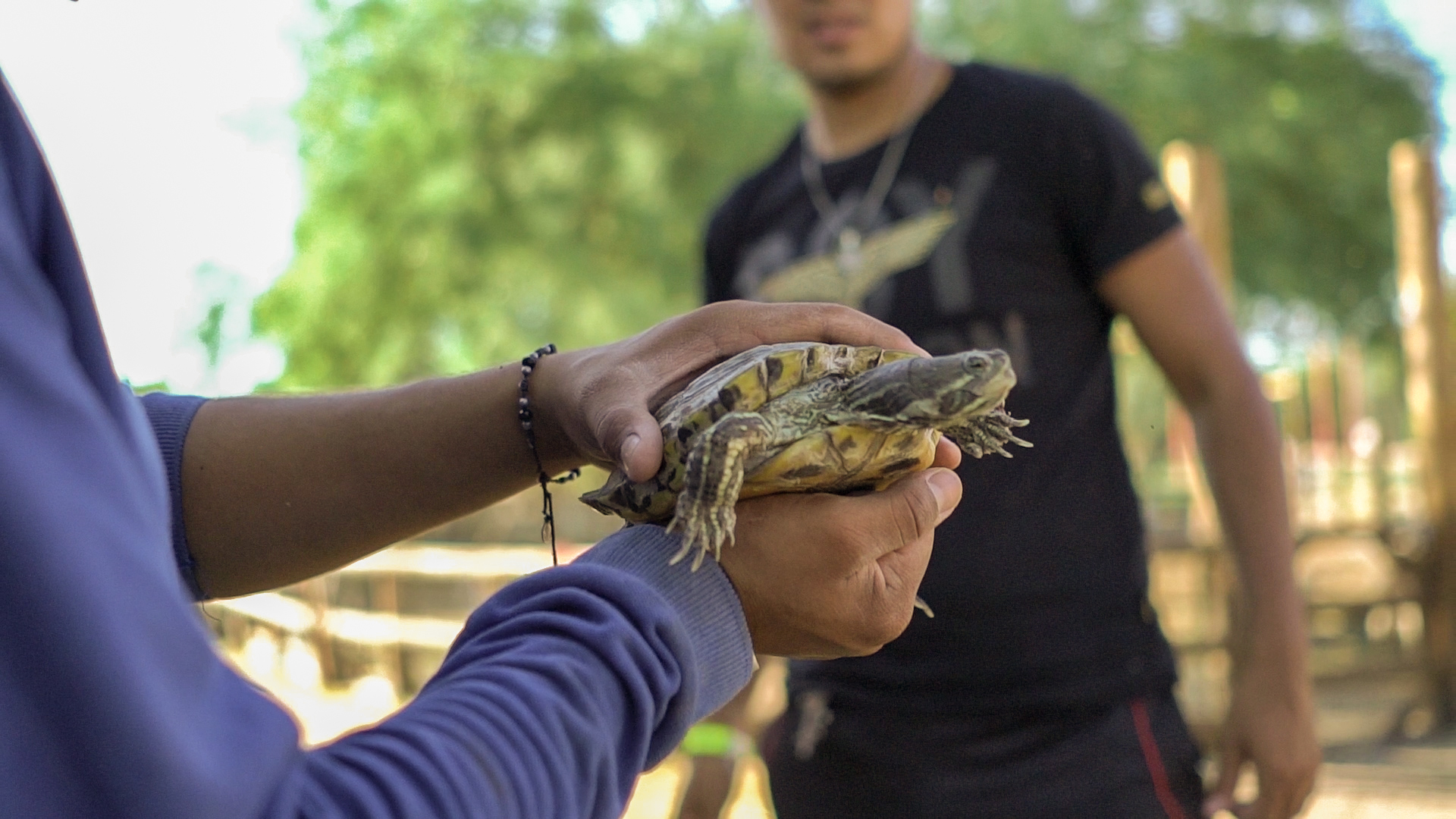 Niño sosteniendo una tortuga en la granjita interactiva